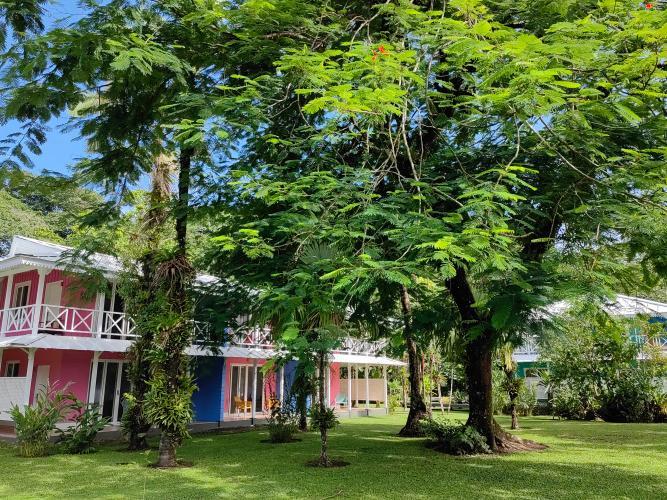 Tortuga Lodge & Gardens By Boeena Tortuguero Zimmer foto